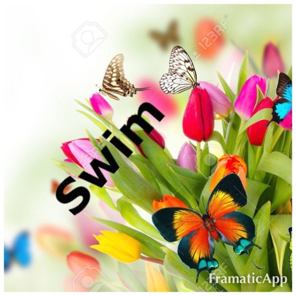 Swimming Suit Tops!!! - Picture 3 of 16